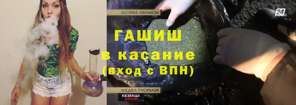 молекула духа Новозыбков