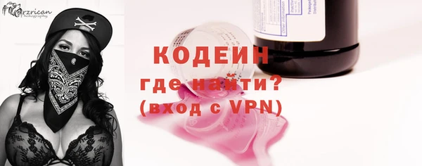 молекула духа Новозыбков