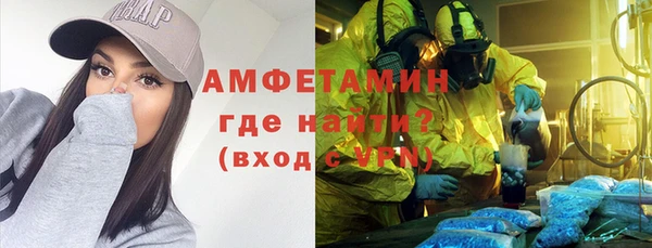молекула духа Новозыбков