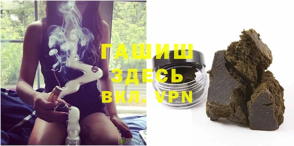 молекула духа Новозыбков