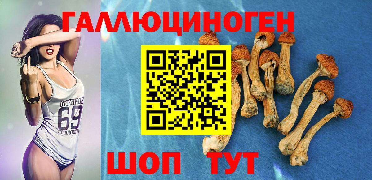 Галлюциногенные грибы ЛСД Черногорск