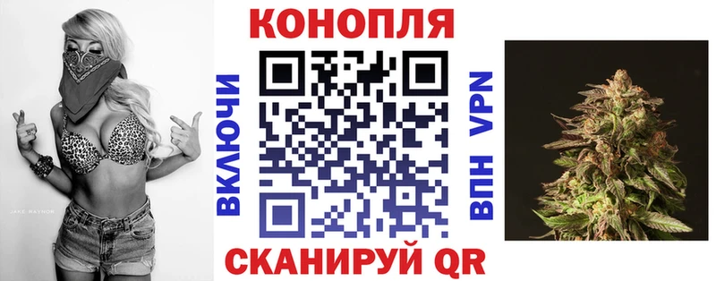 как найти   Черногорск  Бошки марихуана конопля 